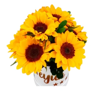 Box de girasoles