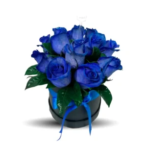 box de rosas azules.