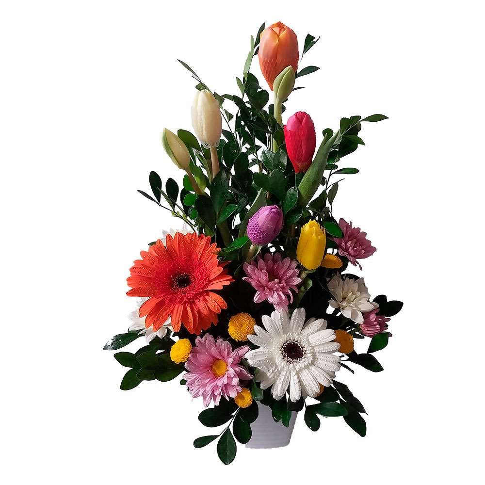 Tulipanes de colores